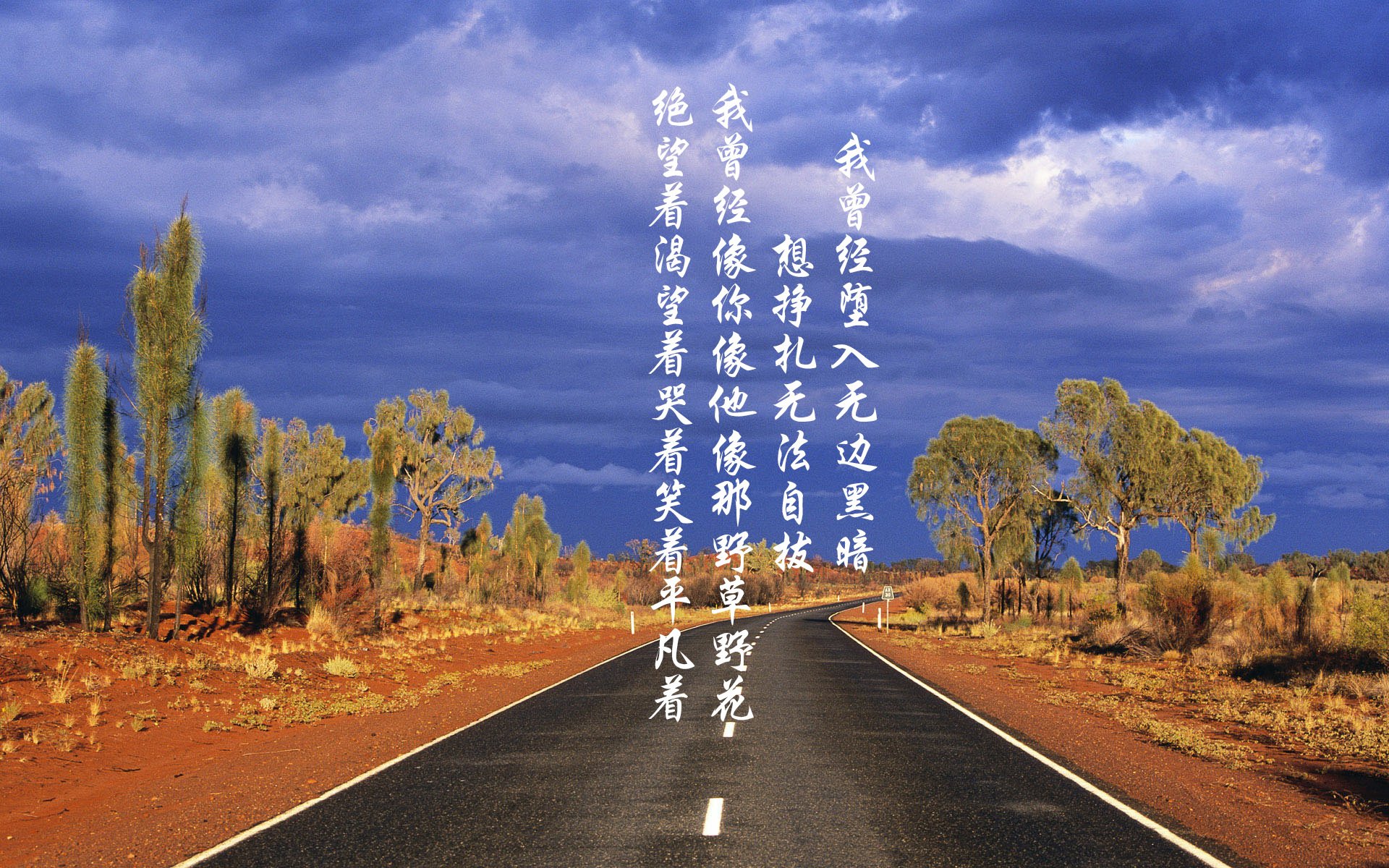 “沙漠狂潮：极限荒野的速度战歌”，沙漠疯狂越野