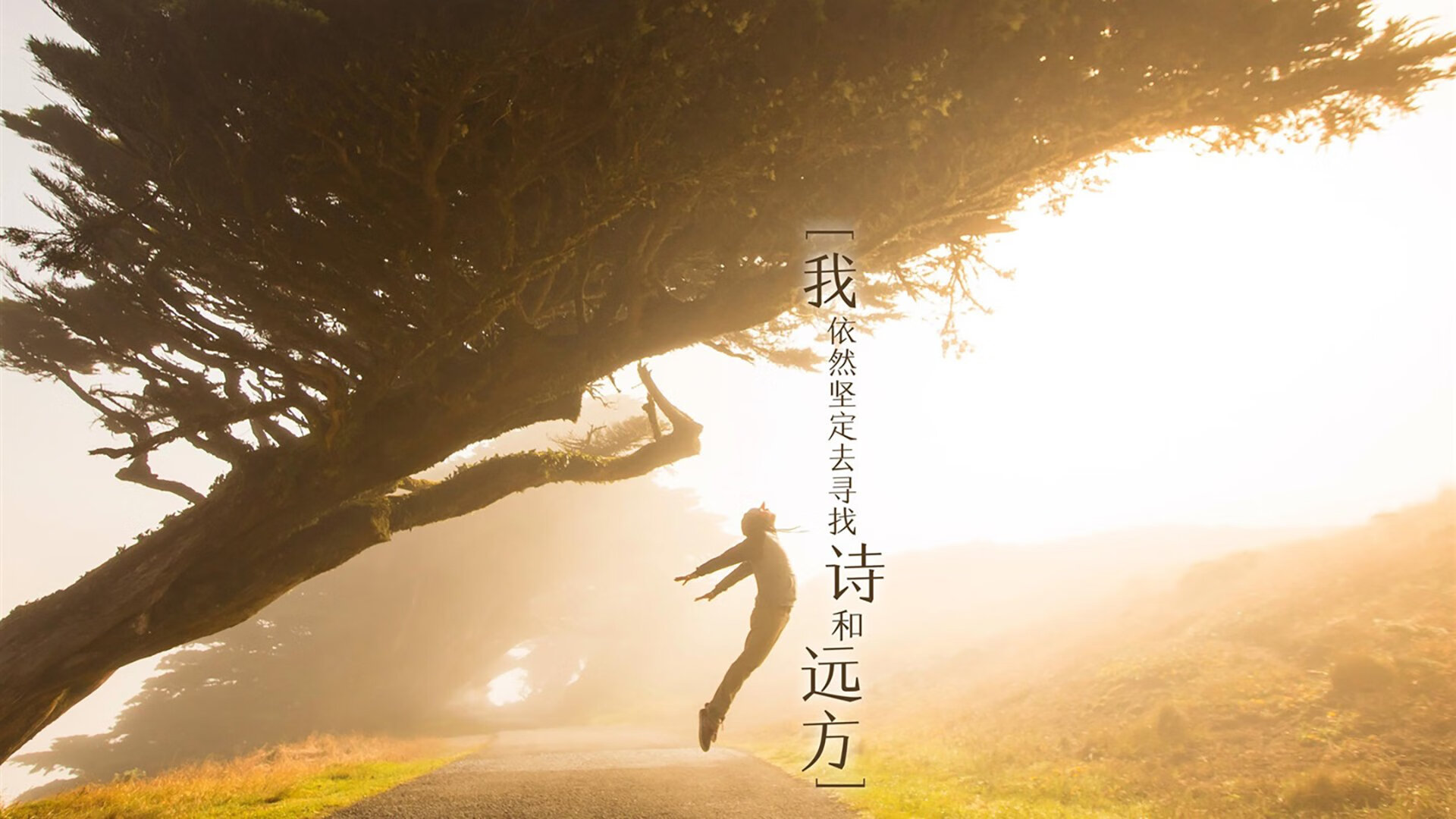 意甲：尤文在最后几分钟绝平拉齐奥，榜首争夺战激烈，意甲尤文vs拉齐奥直播