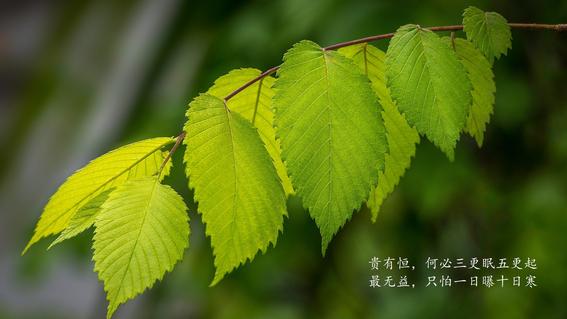 AIYOUXI.COM-青训晋升制度是否透明公开，青训政策