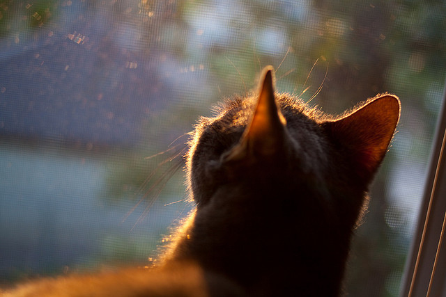东亚杯国足逆袭 球员战术执行到位,东亚杯国足逆袭 球员战术执行到位的是谁