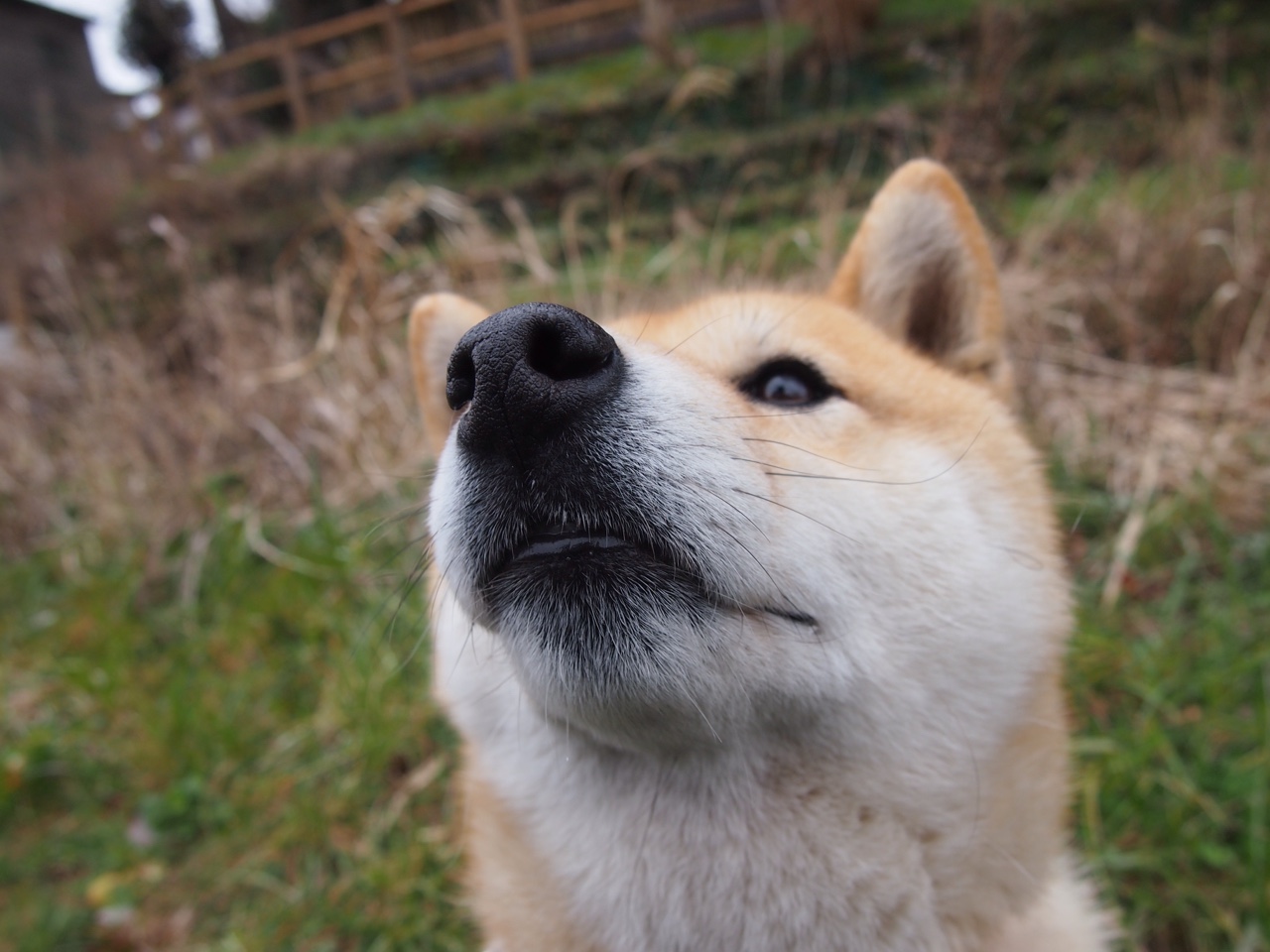 自由泳滑行、拉水、出水三阶段节奏细解，自由泳 拉水