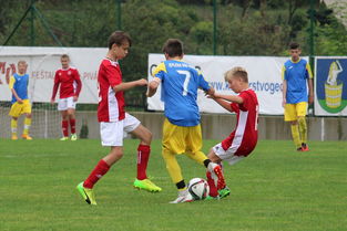 爱游戏体育APP下载-塞尔维亚实力不断提升，期待在国际大赛中突破