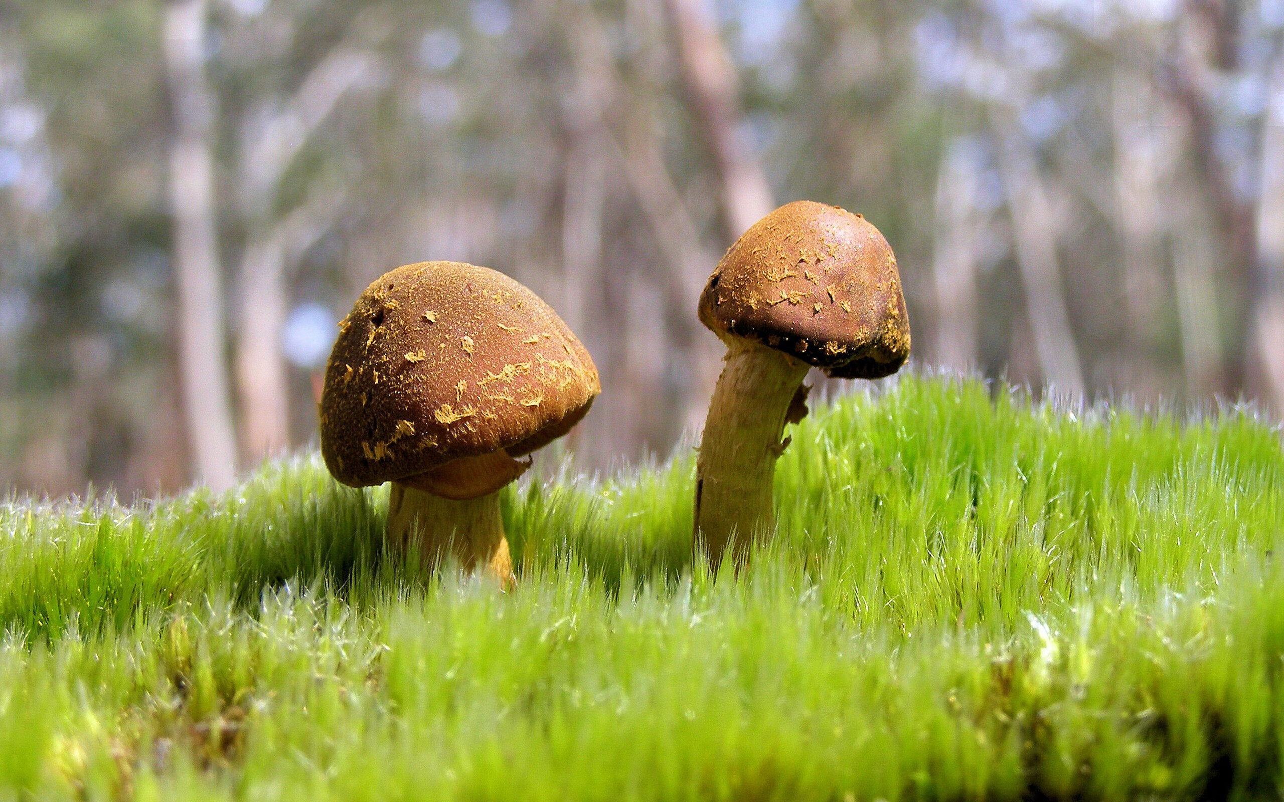 女子篮球训练强化对抗能力提高比赛竞争力,女子篮球训练计划项目