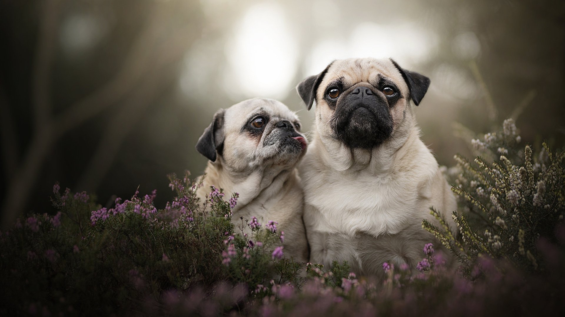 爱游戏娱乐-女篮青年队增加快攻训练提升比赛节奏，青年女子篮球