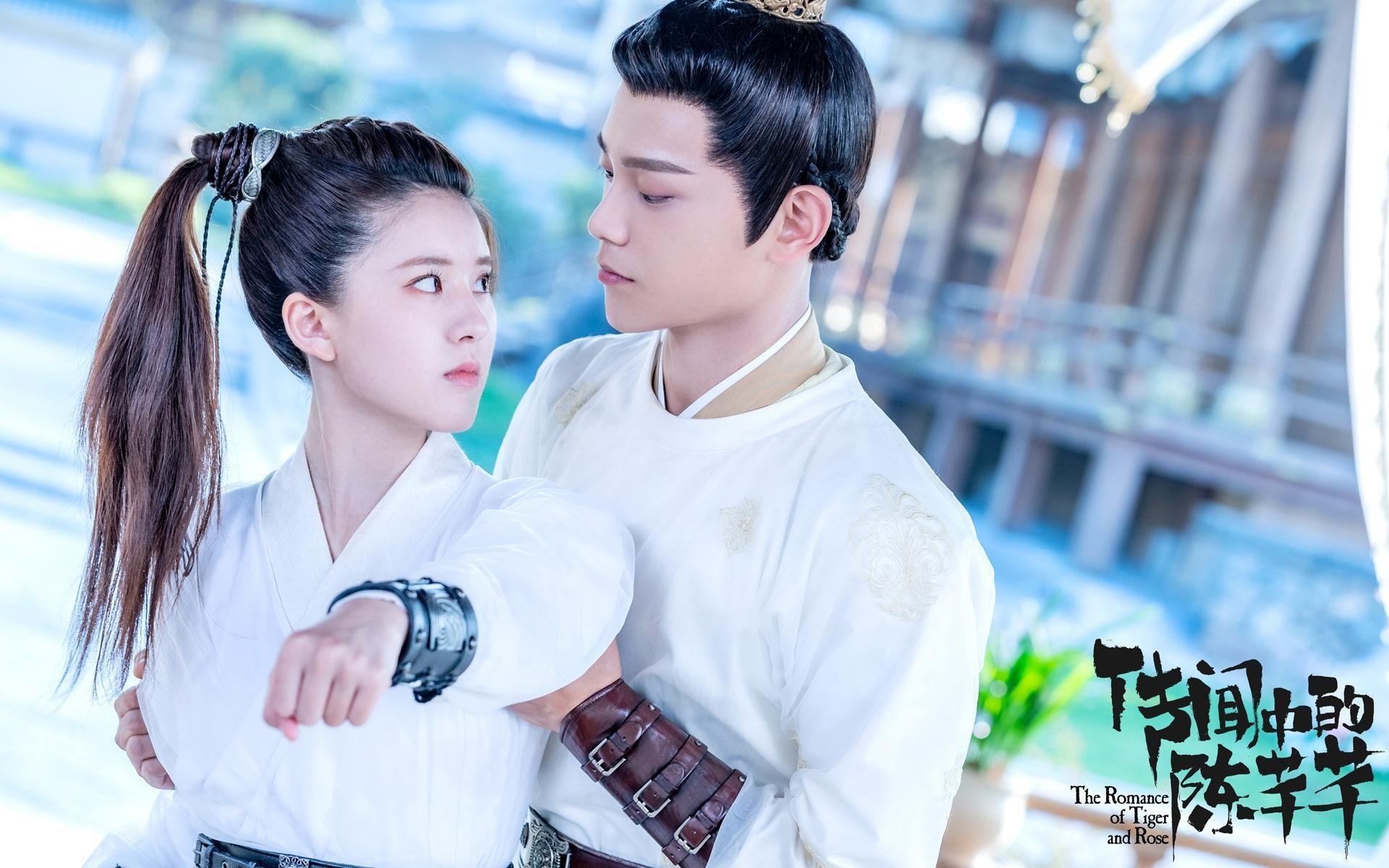 欧洲杯战术大革命:出奇制胜,精彩纷呈!,欧洲杯战术机位