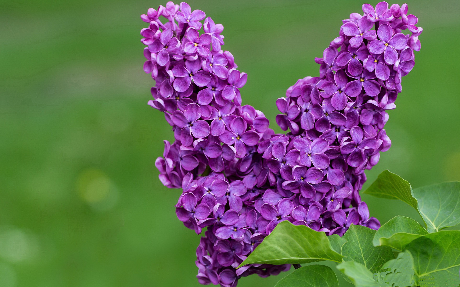 特色足球赛事增加赛事直播互动，提升观众参与感，足球赛事讲解