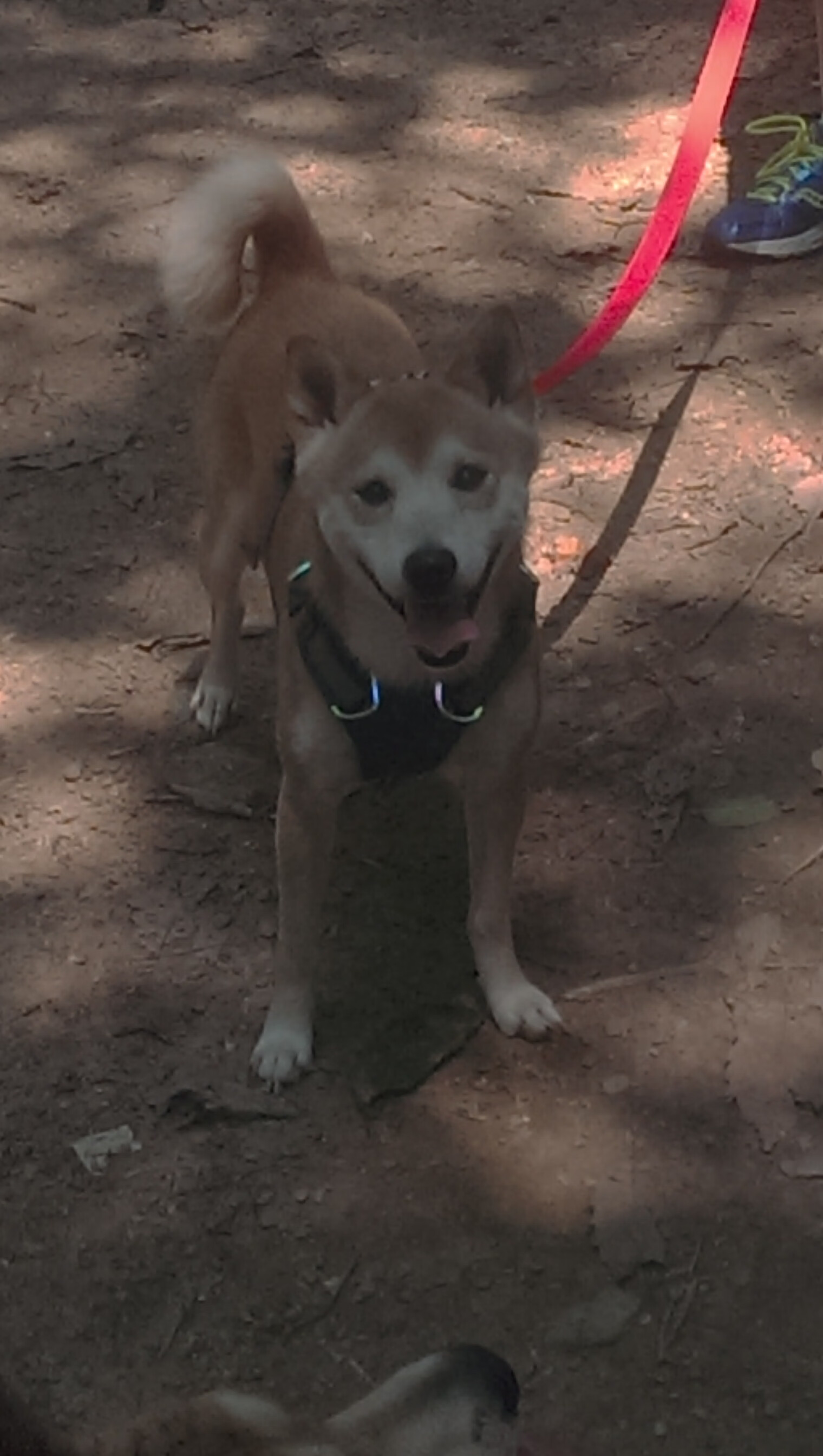 爱游戏娱乐网址-球队启用新技术复盘系统，比赛细节解析更精确，足球比赛复盘怎么写