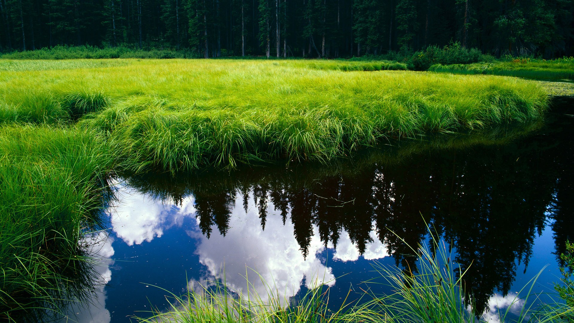 莫莉冲刺力惊人 决胜关键在后程，莫莉 卞