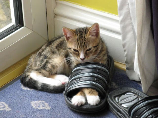 AYX官网-赛季后期调整阵容球队打法更趋灵活多变，新赛季季后赛对阵