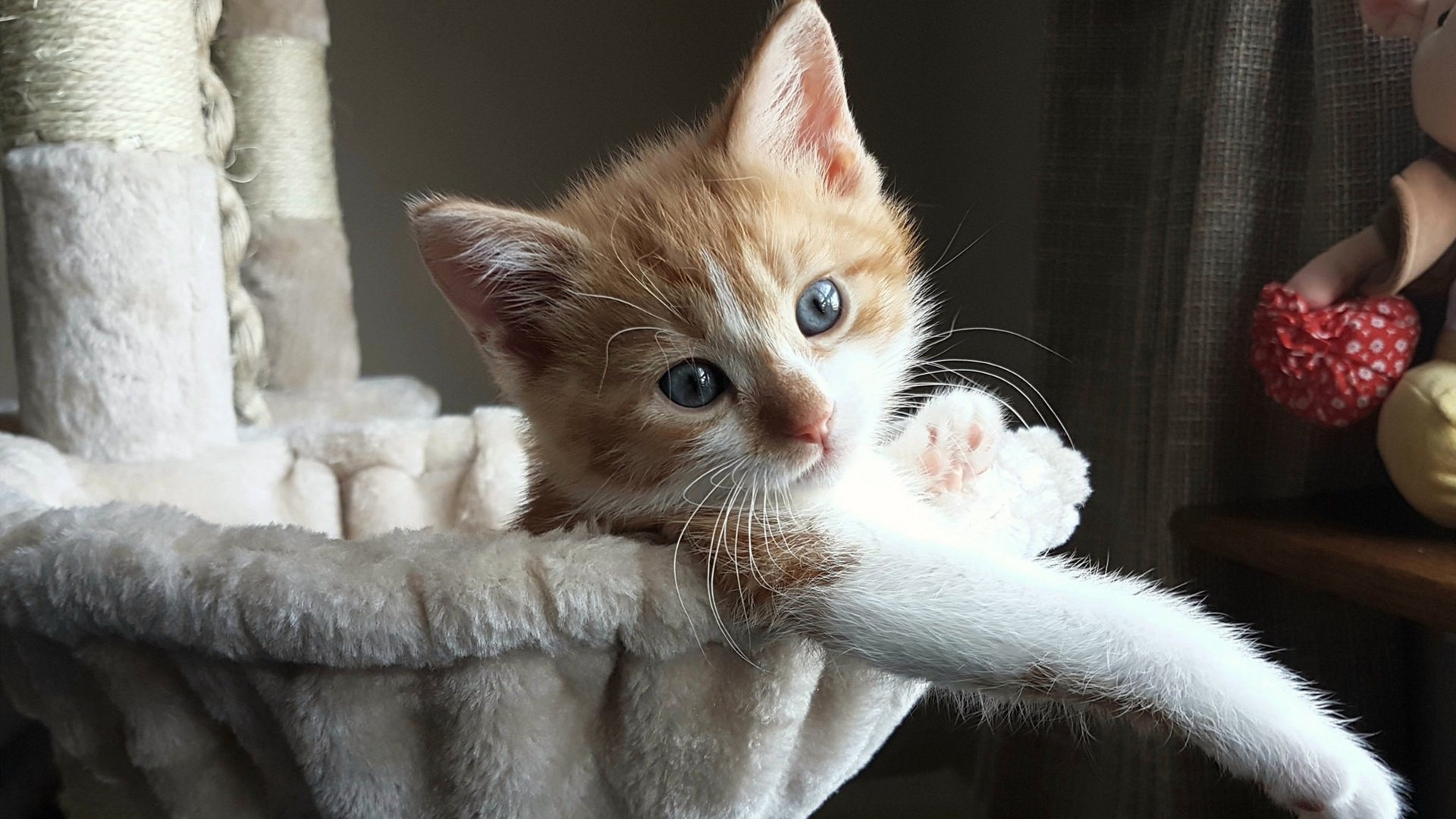 爱游戏-足球场馆数字化管理平台应用推广，提升运营效率，足球场运营管理方案