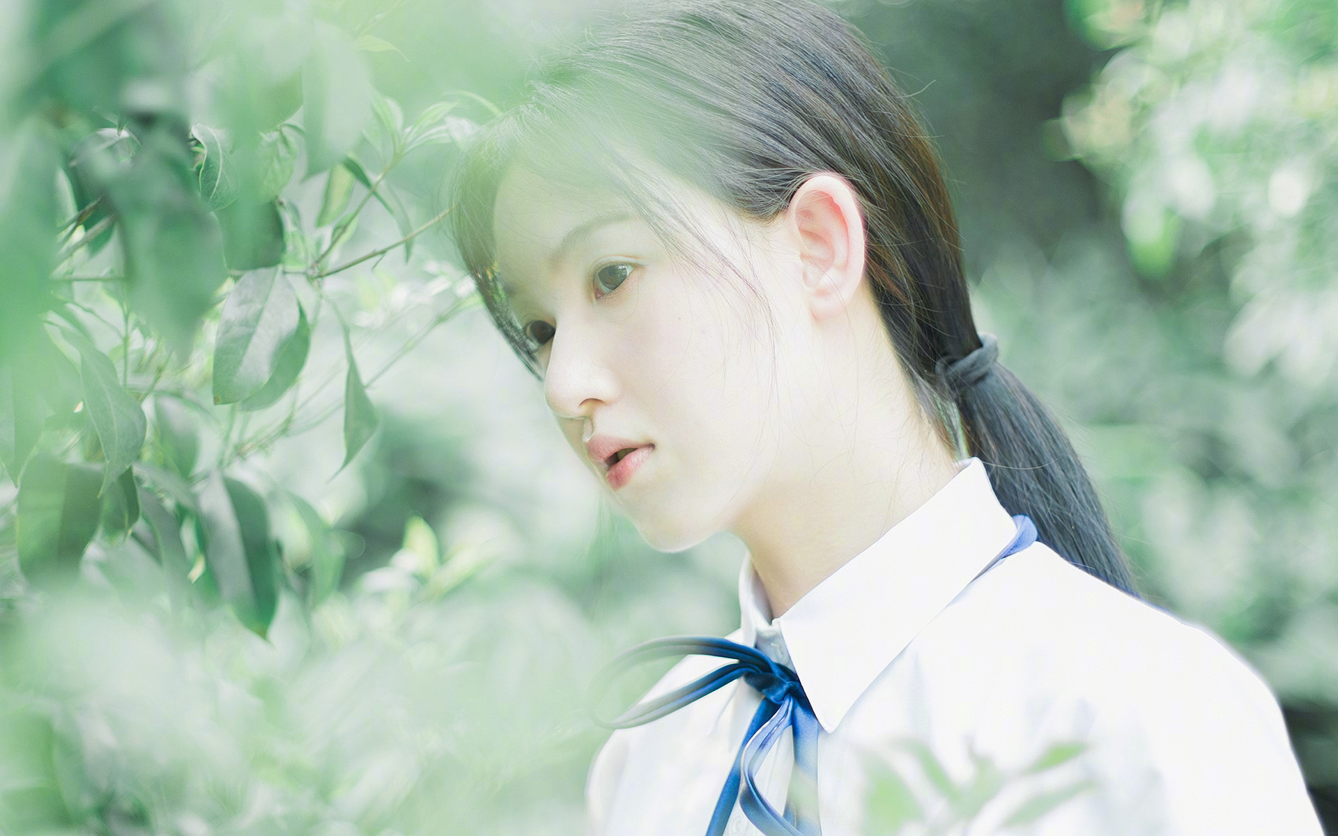 AYXSPORTSAPP-跳水技术全面韩国稳步提升，韩国跳水2021