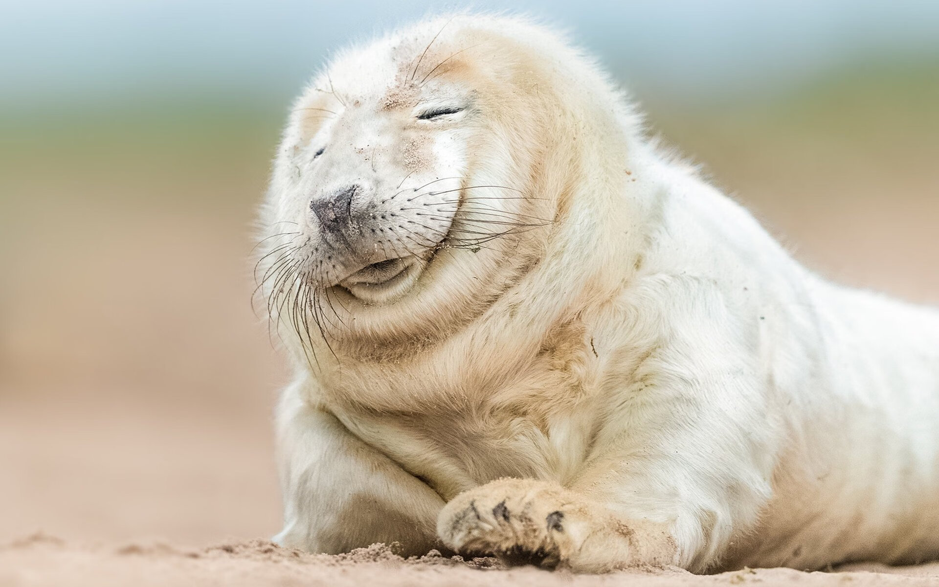 自由泳接力波兰配合默契，4×200自由泳接力全程回放