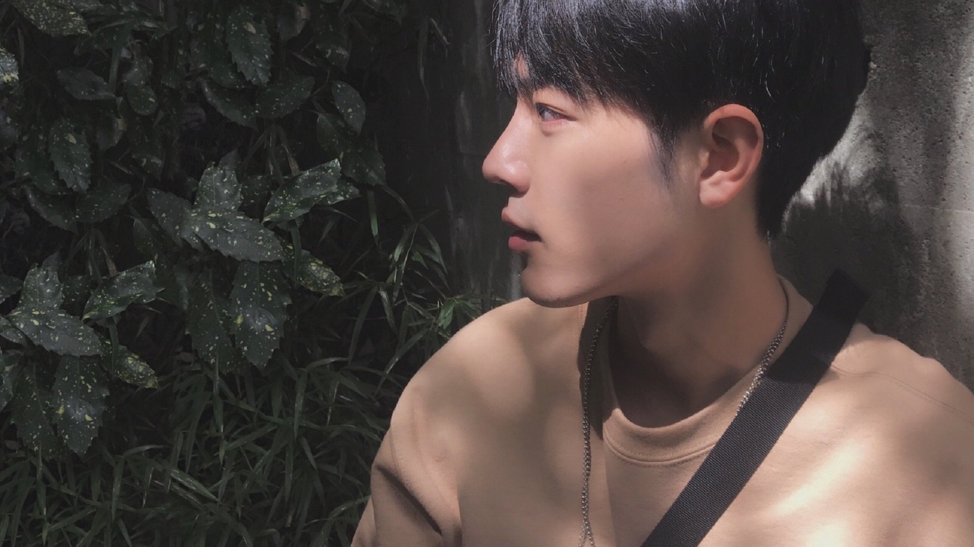 苏格兰橄榄球青训项目吸引大批年轻才俊加入，苏格兰橄榄球队